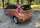 Авторынок | Продажа 2016 Ford Fiesta 